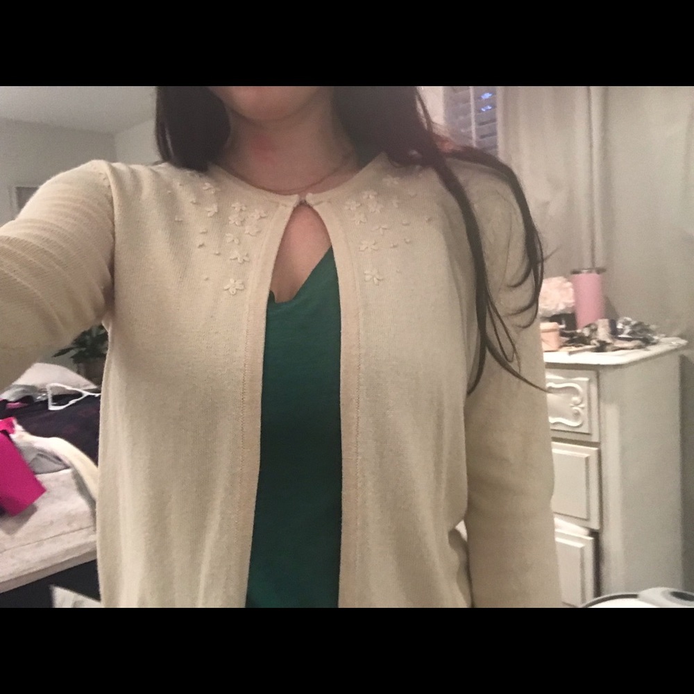 The Limited Cashmere Sweater